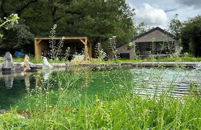 la maison dans les bois - Foto 7