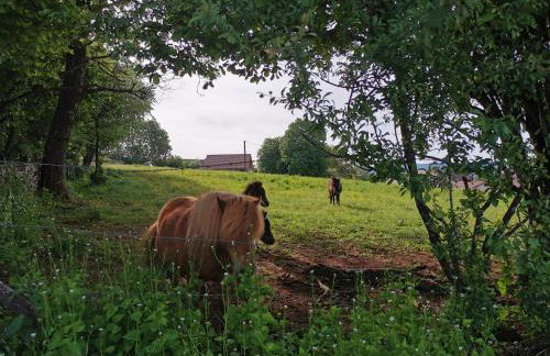 La Maison du Colombier - Foto 22