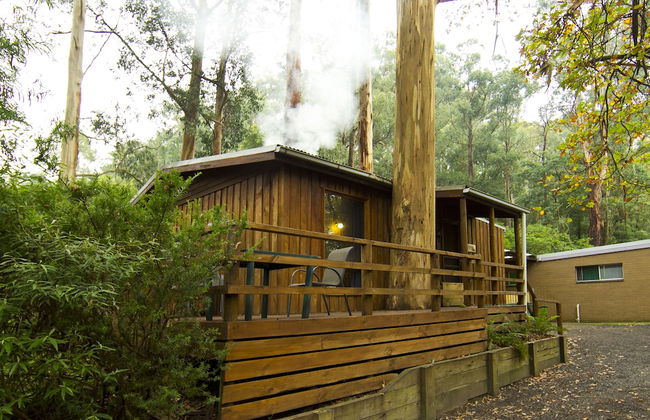 Tarra Valley Retreat - Foto 24