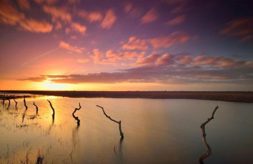 Private pool on the beach - Wi-Fi - Doñana - Foto 25