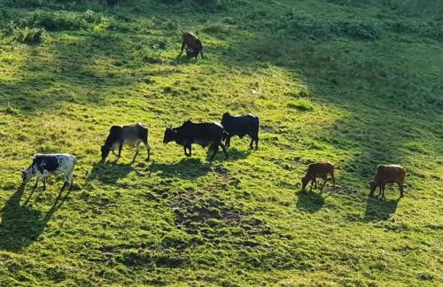 Odenwald-Lodge mit Infrarotsauna und E-Ladestation im Naturpark Odenwald "Haus Himmelblau" - Foto 22