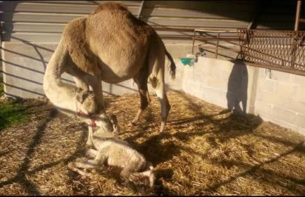 Casa da Matriz - Foto 103