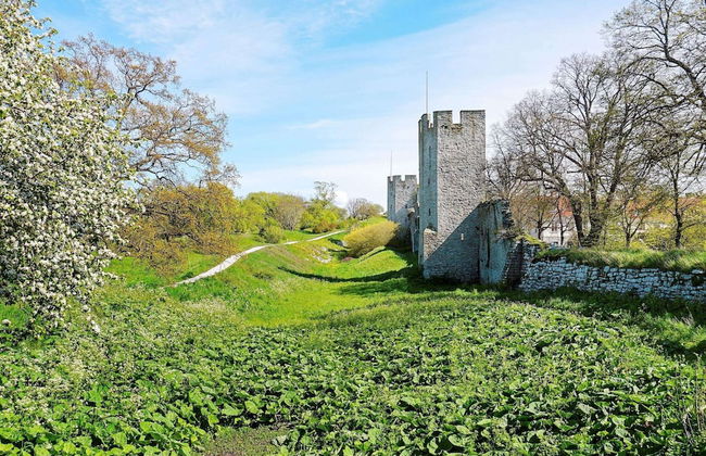 Holiday Home in Katthammarsvik - Foto 10