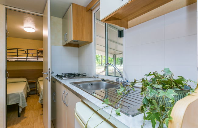 Green Holiday (GDO201) - Foto 8