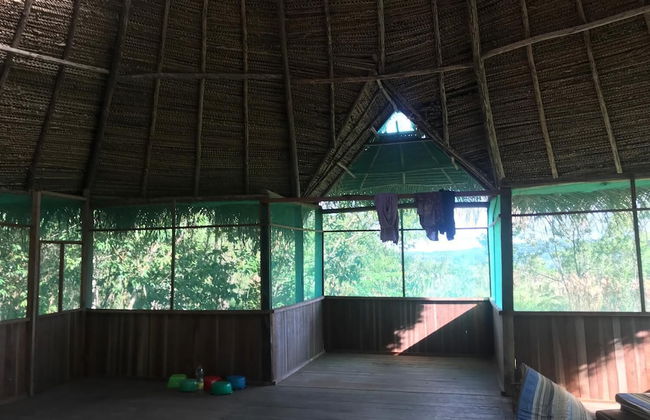 Ayahuaska - Photo 22
