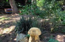 Ferienhaus Wald-Idyll Meisdorf - Foto 24