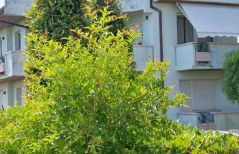 A Casa DaNoi - Foto 5