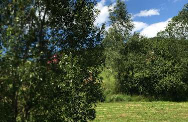 Malinowy Domek - Photo 70