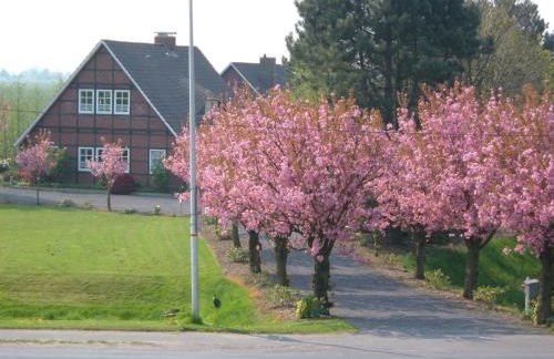 Appartement Jork Altes Land bei Hamburg direkt an der Elbe - Photo 12