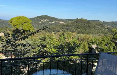 Sofia's Bella Vista Pagoi - Photo 49