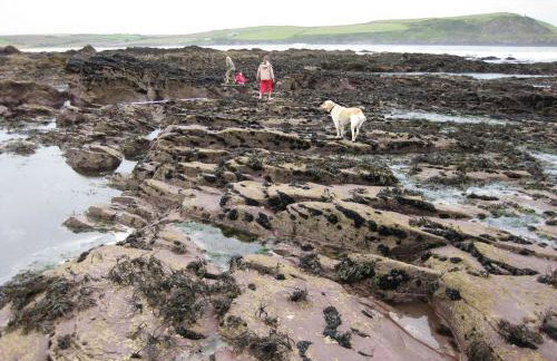 The Old Stables of heritage Tregrehan Garden Cottages on South Coast - Photo 25