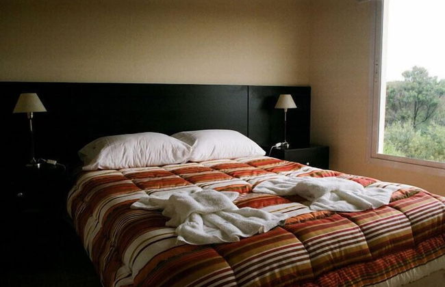 Terra Magna - Photo 3