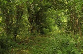 The HopBarn - Foto 12