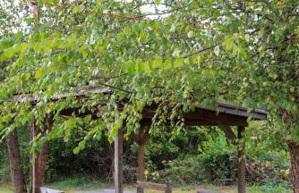 Bucks County Home Farm Philadelphia Dog Friendly - Foto 42