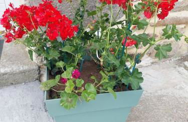 Gîte Kerlosvézan - Cocon de charme rénové & 5mn Mer et GR34 - Foto 43