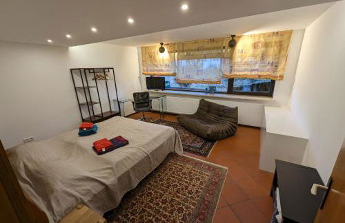 Appartment in der Auszeitoase Freystadt - 2 Zimmer, Billard, Sauna, Terrasse, Garten, Ladestation, nahe an Messe Nürnberg - Foto 1