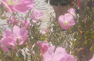 Climb and dive South ! - Foto 47