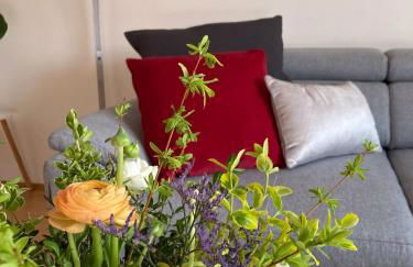 Ferienwohnungen bei der Purpurbuche - Foto 8