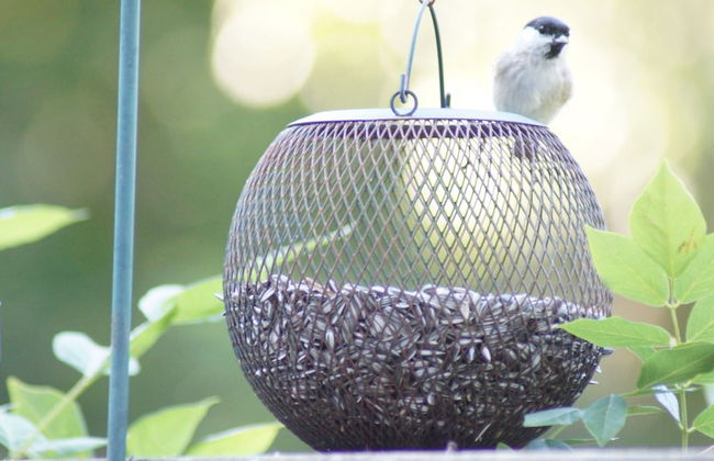 Peaceful Countryside Home - Foto 17