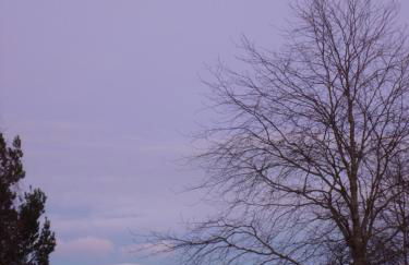 Camusmore House - Foto 5