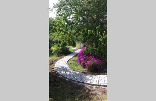 casa das laranjeiras - Foto 5