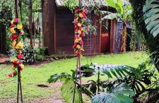 Tiny House II - Sítio dos Wolff - Foto 25