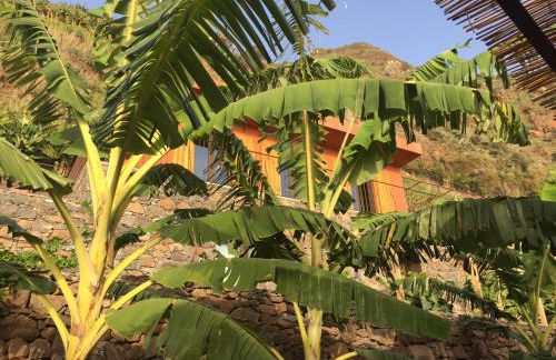 Mango House - Foto 30