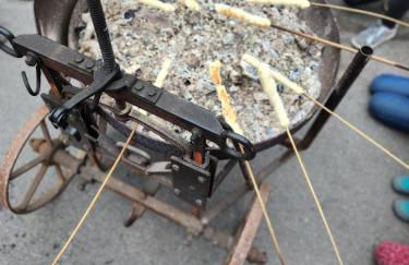 Bio Ferienbauernhof Voß - Foto 15