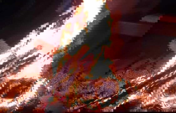 Pousada Pouso das Araras - Foto 76