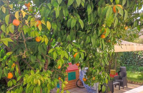 Il Giardino Degli Aranci - Foto 1