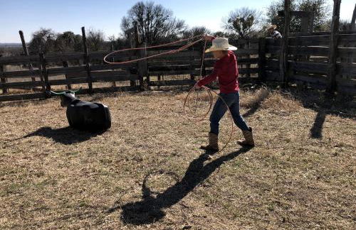 Magical Treehouse with Slide by Brazos River for Family Glamping Adventures in Texas - Foto 33