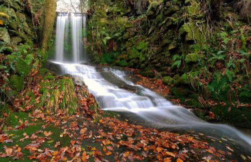 A Quinta de Cea - Apartamentos - Foto 53