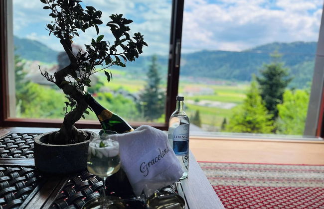 Graceland In the Black Forest - Foto 94