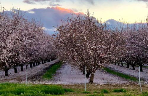 Oakwood Lodge - Foto 52