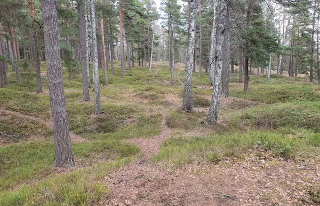 4 Person Holiday Home in Ingaro-by Traum - Photo 16