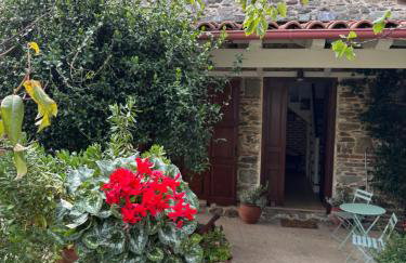 Dreamy Cottage - Photo 3