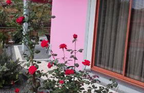 Vivenda da Natureza - Foto 2