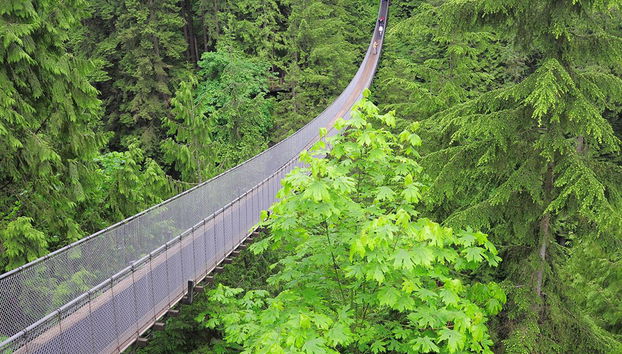 Vancouver und der Capilano Suspension Bridge Park - Halbtagsausflug - Foto 4