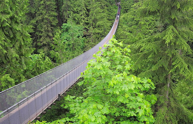 Vancouver und der Capilano Suspension Bridge Park - Halbtagsausflug - Foto 4