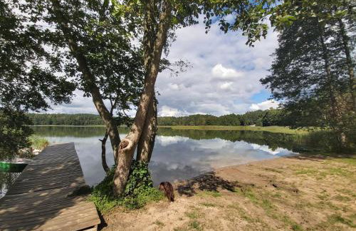 AŻ POD LAS - Foto 33