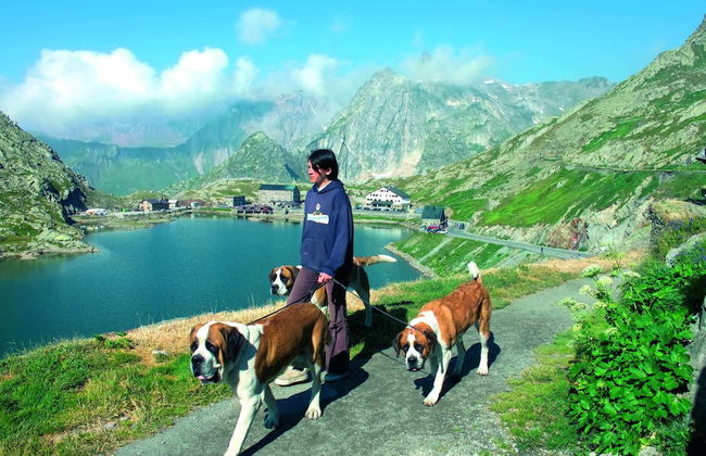 Chalet in Rhone Valley Near Ski Lift - Foto 28