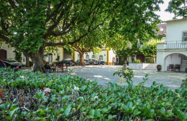 Quinta da Alcaidaria Mor - Foto 30