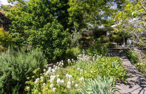 Casa el Nogal - Foto 48