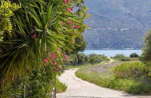 SEA & OLIVES HOUSE - Photo 39