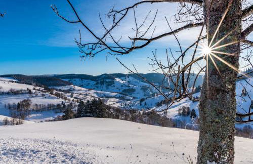 Schwarzwaldliebe - Foto 14