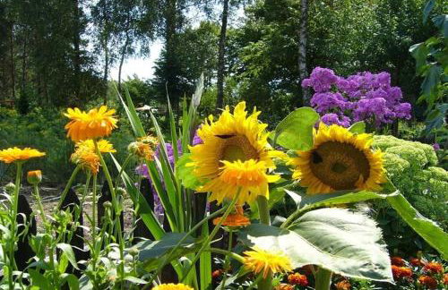 Holiday home, oasis of peace, Polanow - Photo 27