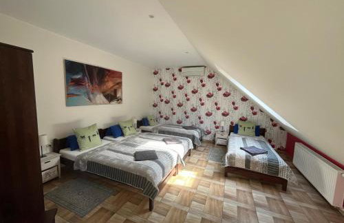 Koci Grzbiet Agroturystyka - Foto 41