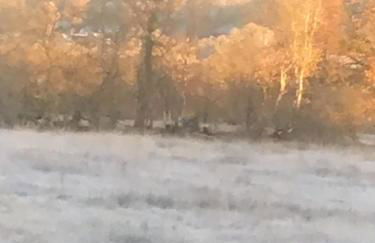 Tanybryn (Welsh meaning on the brow of a hill) - Photo 15