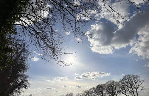 Cedar Barn - Foto 42