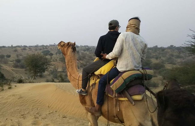 Nuit dans le désert de Thar - Photo 6